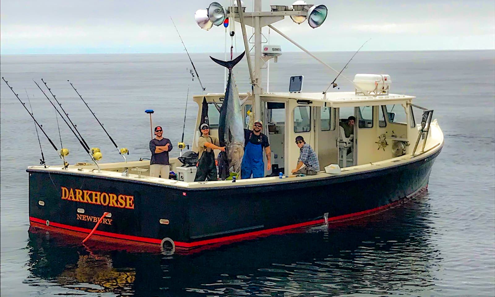 Dark Horse Charters